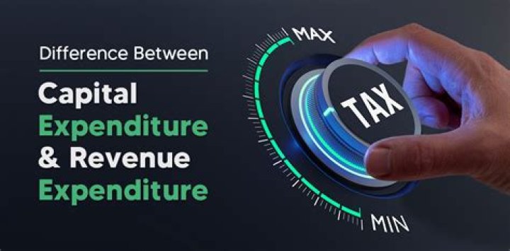 Are capital contributions considered revenue?