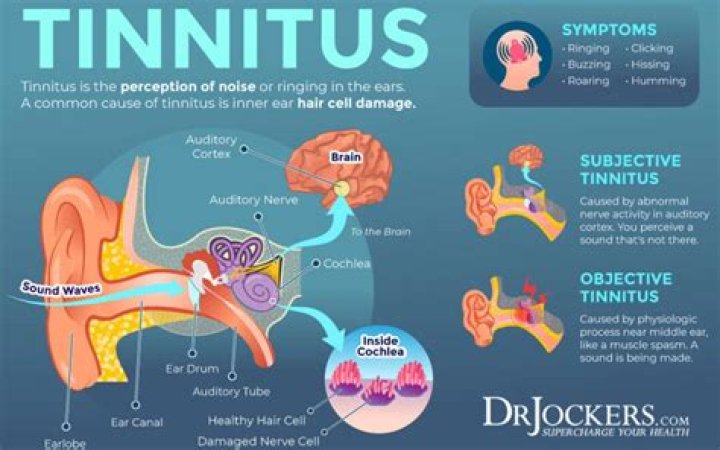 Can Sinus Rinse help tinnitus?