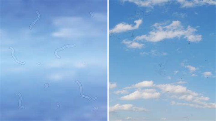 Do eye floaters cause blurry vision?