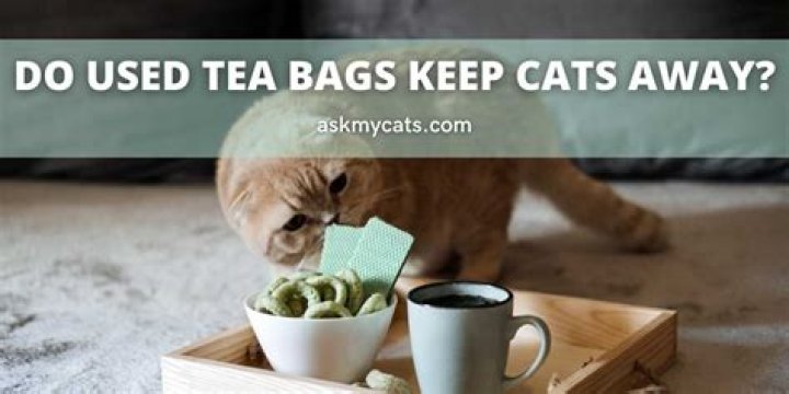 Do used tea bags keep rats away?