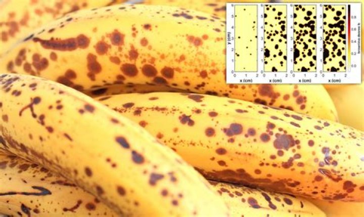 Does banana cause hair fall?