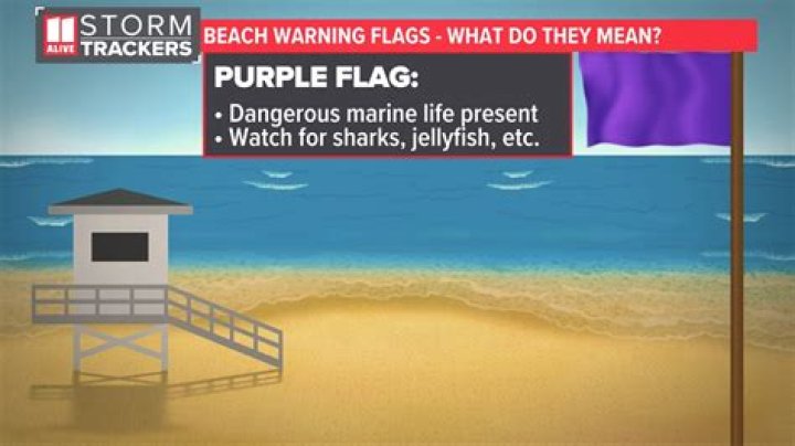 Does purple flag mean sharks?
