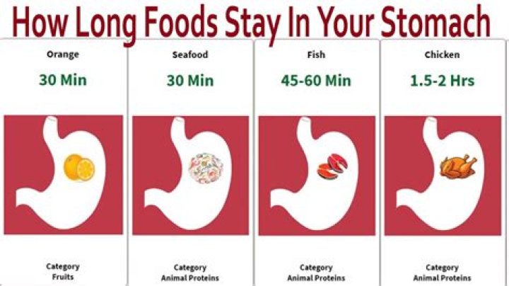 How long does it take for your stomach to tell your brain it's full?