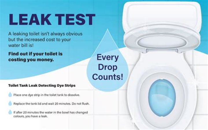 How much can a toilet leak per day?