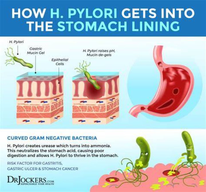 How will I know when H. pylori is gone?