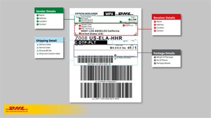 Is DHL Express next day?