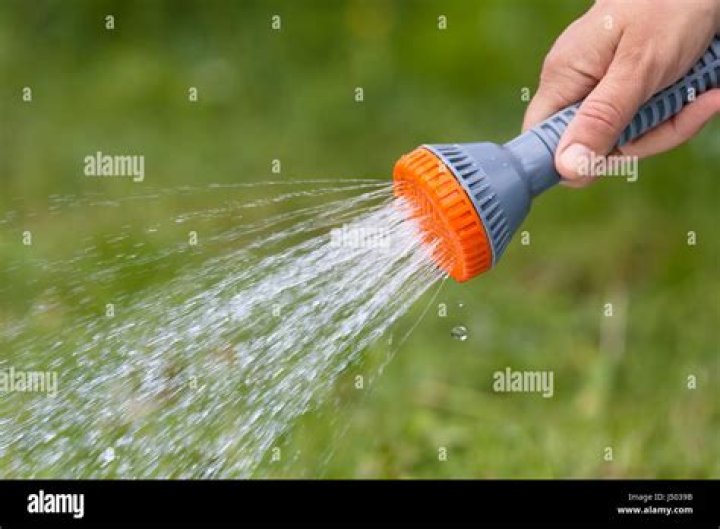 Is hand watering better than sprinklers?