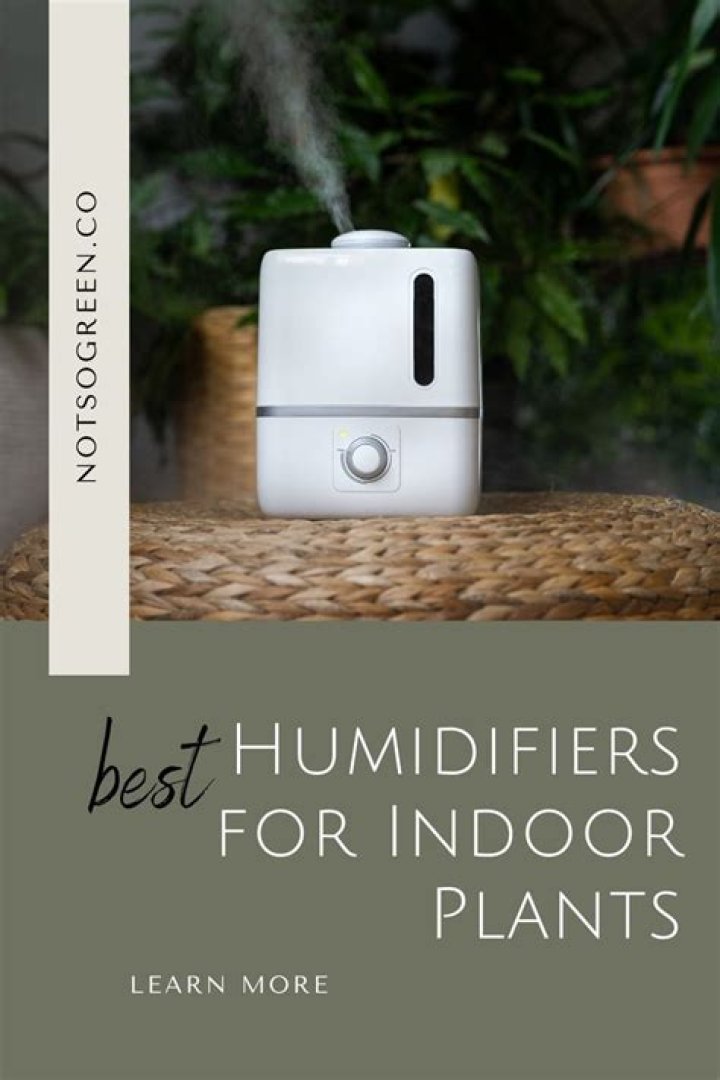 Is it cheaper to run AC or dehumidifier?
