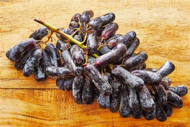 What are moon drop grapes?