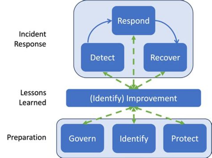 What are the four categories of response?