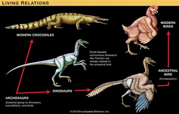 What creatures survived the dinosaur extinction?