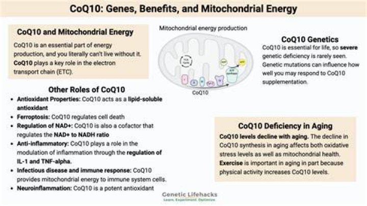 What does CoQ10 do to your brain?