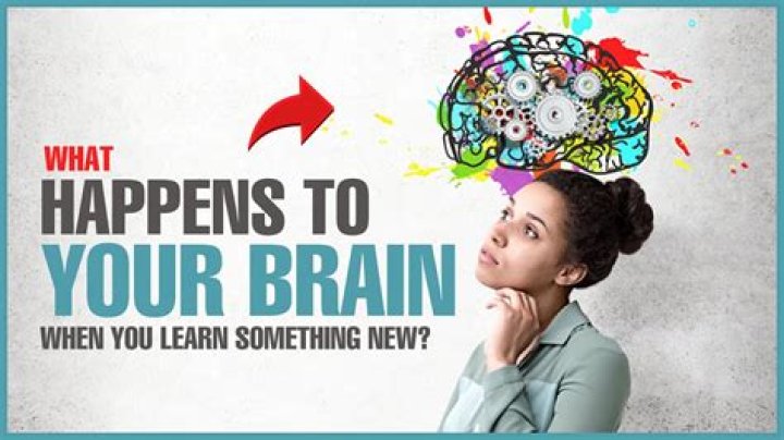 What happens to the brain when you learn a new language?