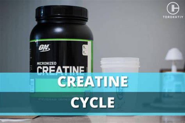 What is a creatine cycle?