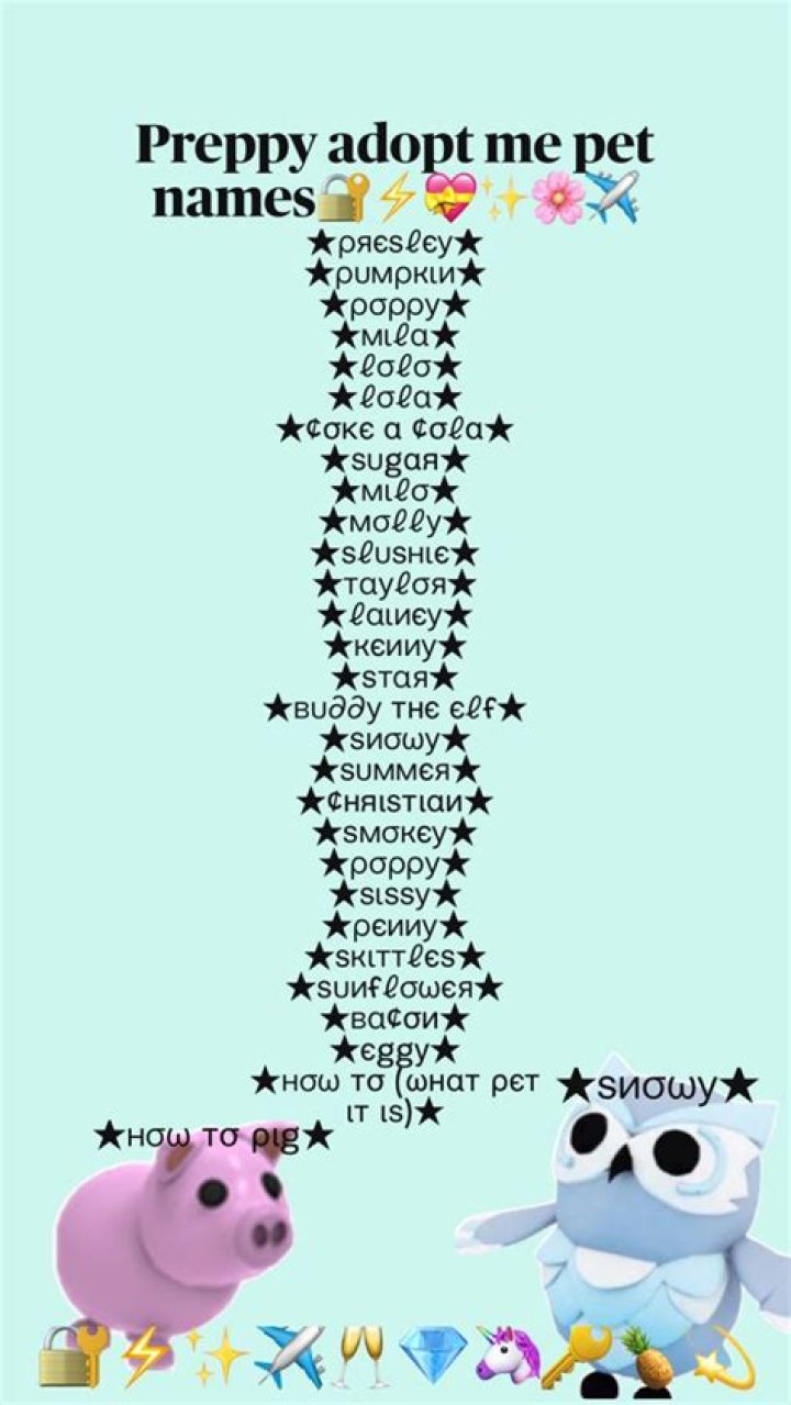 What is a good pet name?
