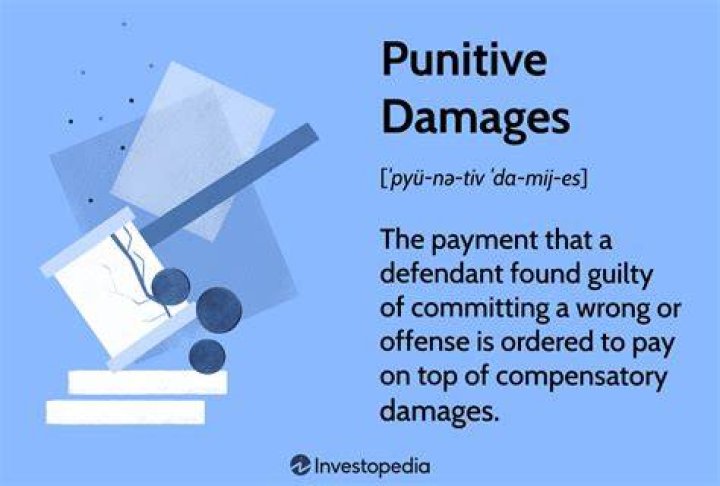 What is an example of a punitive damage?
