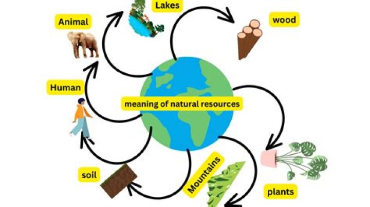 What is the meaning of urban farmer?