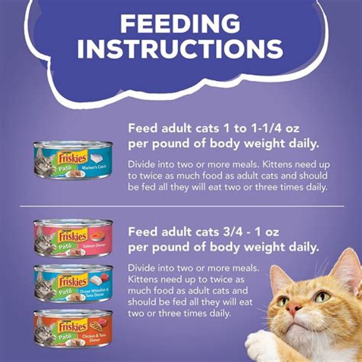 What is wrong with Friskies cat food?