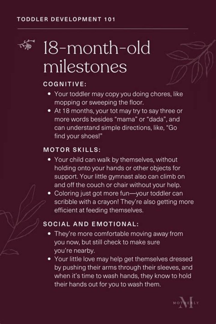 What milestones should a 6 month old be doing?