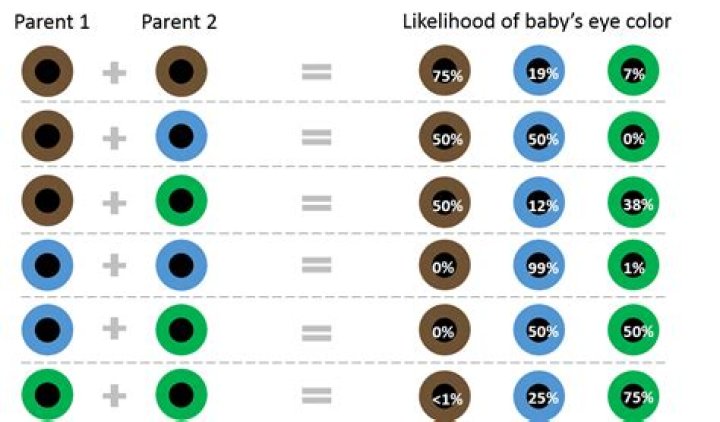 What parent determines eye color?