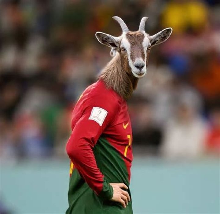 Who is the soccer goat?