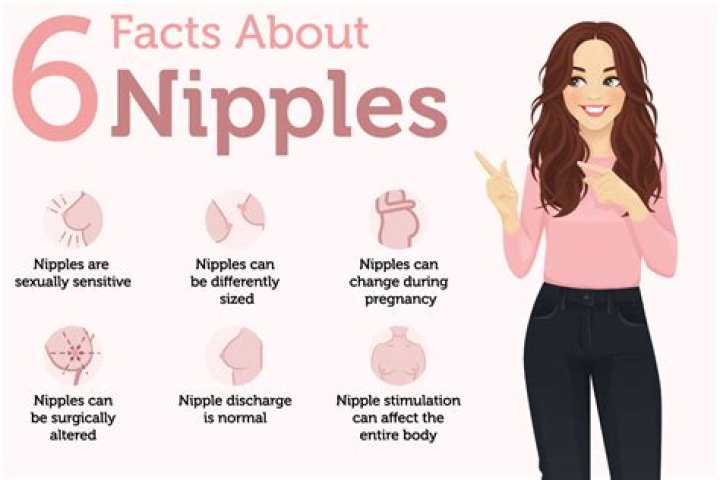 Why do we have 2 nipples?