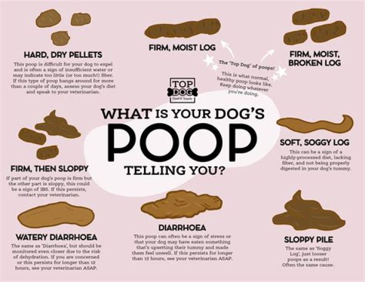 Why does it smell like poop when I do laundry?