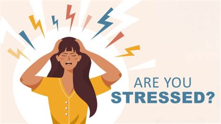 Why PhD is so stressful?