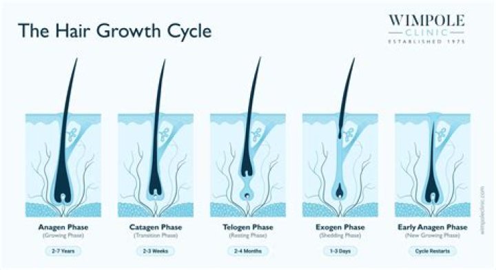 Will my hair grow back if I cut it with normal scissors?